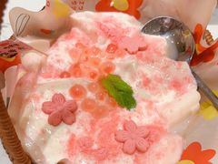 樱花奶豆腐-同乐馆(阳光店)
