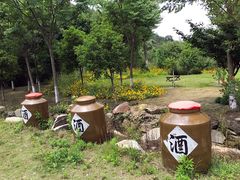 -黄陂区野村谷景区