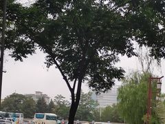 -张掖大佛寺景区