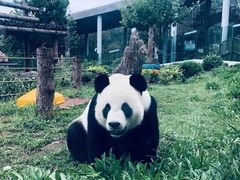 -大连森林动物园