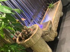 -石泉私宴