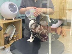 -中农大我爱我爱动物医院·核磁CT·猫病·24小时夜诊中心(石佛营店)