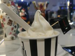 酸奶冰淇淋-JW德国冻酸奶Frozen Yogurt(龙湖成都滨江天街店)