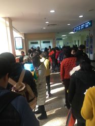 -上海交通大学医学院附属上海儿童医学中心(陆家嘴总院区)