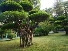 -南宁南湖公园