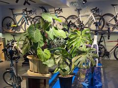 -大行Dahon自行车·北京顶点单车apex bike·ARAI摩托车头盔(白塔寺专卖店)