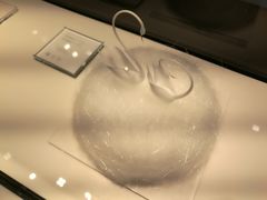 -BLACKSWAN黑天鹅(环球店)