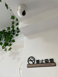 -凡碧诗毛孔收细