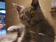 -乐宠宠物店(世纪金源店)