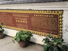 -西双版纳傣族园