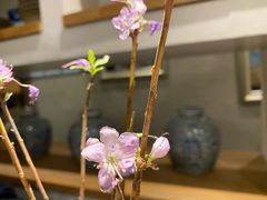 -一号铺子·大炉茶