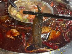 -铜元老码头鳝鱼火锅