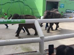 -大连森林动物园