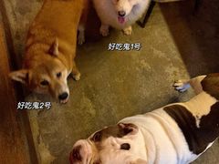 -萌喵咖啡屋(人民东路4号口M16商铺店)