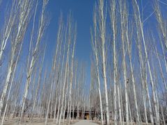-黄沙古渡原生态旅游区