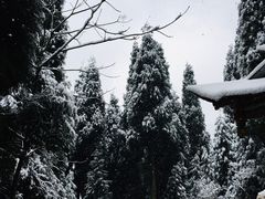 -九峰山