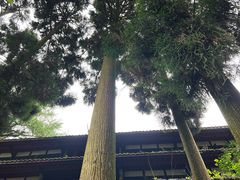 -青城山