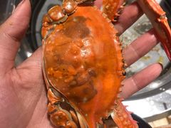 -万象·复兴号鲜肉烤肉海鲜自助(升级店)