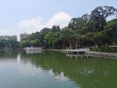 -公园茶楼粤式点心