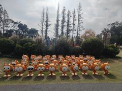 -上海长兴岛郊野公园