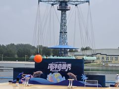 -秦皇岛乐岛海洋王国