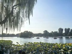 -后海16号·北京私房菜