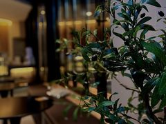 -ViTalk hub咖啡
