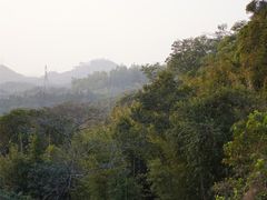 -深圳仙湖植物园
