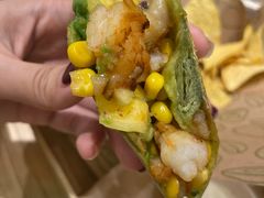 -油梨树AVOCADO TREE(嘉里中心店)