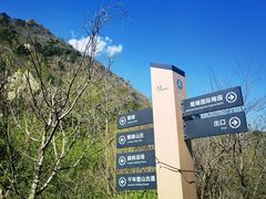 -北京鹫峰国家森林公园