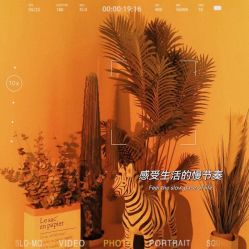 -VE专注问题肌·赛诺龙&科学美肤中心