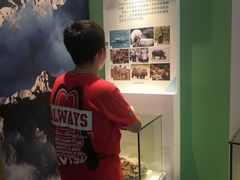 -金钉子远古世界景区