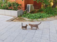 -隐食私房菜(渡口·光荣院南门·老街店)