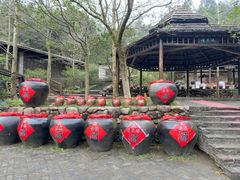 -姑婆山旅游区