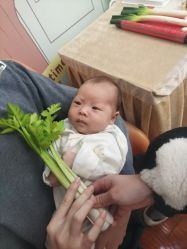 -沪壹健康国际母婴月子中心(360复旦奥医一妇婴东院店)