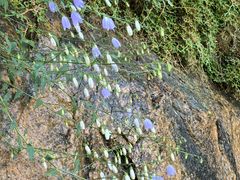 -云峰山自然风景区