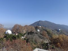 -紫金山天文台