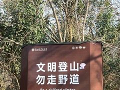 -紫金山山顶公园
