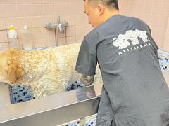 -FAELING PETS美天灵宠物(富力广场店)