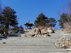 -大兴滨河森林公园