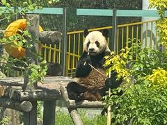 -大连森林动物园