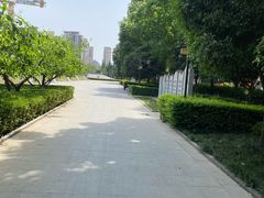 -木塔寺遗址生态公园