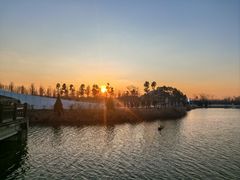 -盐城丹顶鹤湿地生态旅游区