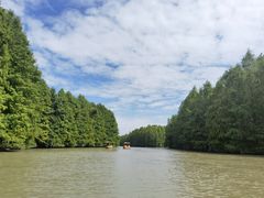 -上海海湾国家森林公园