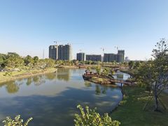 -王借岗森林公园
