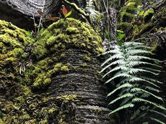 -梭布垭石林景区