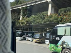-西双版纳原始森林公园