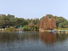 -桂湖森林公园