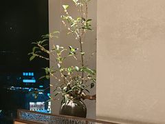 -上井料理黑金店(IFS国金中心店)