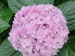 -常州古运河南大街文化旅游区-人民公园